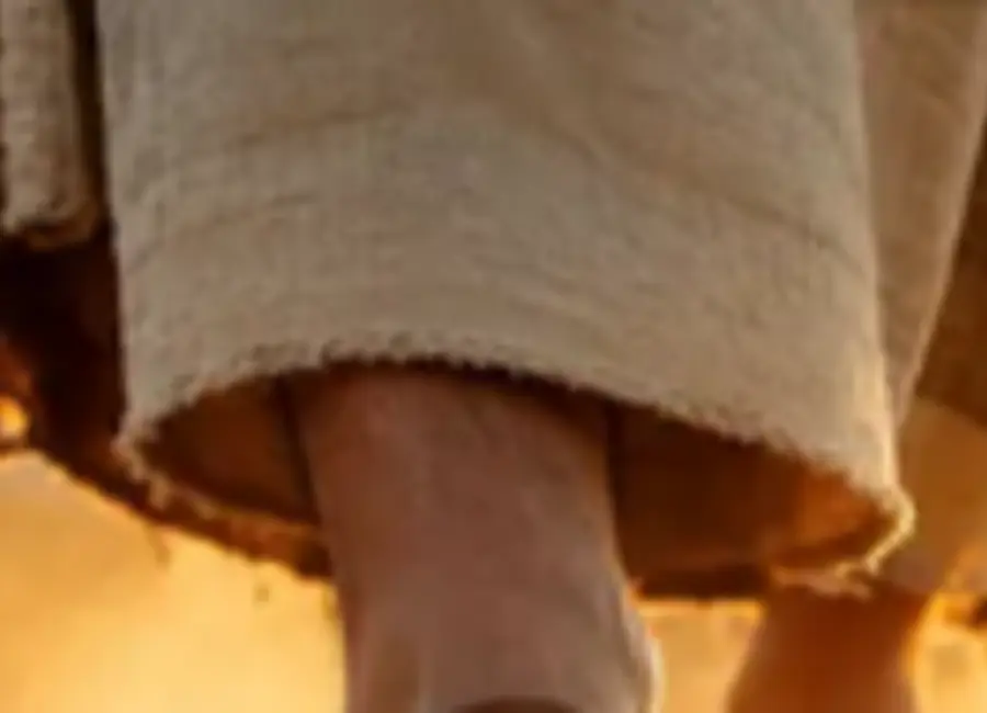Primeiros Passos na Fé